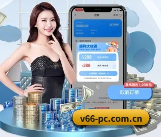 V66体育 APP